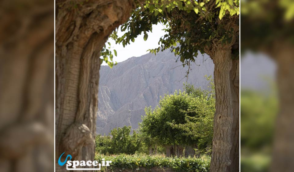 اقامتگاه باغچه شاه عباس - بشرویه - باغ روستای  کرند